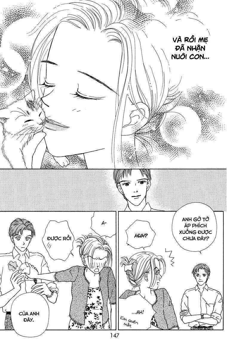 cuộc sống thường nhật của mèo zaccho chapter 1.5 31