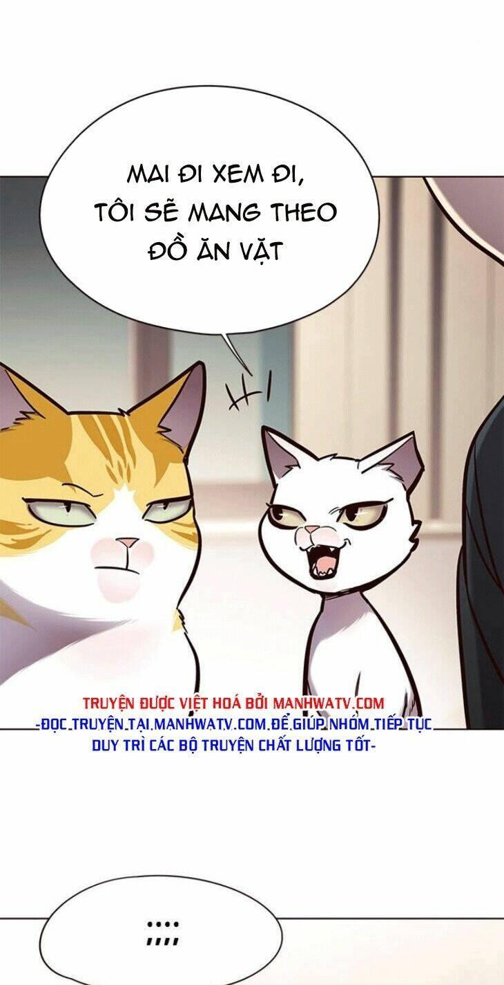 biến thân thành mèo chapter 148 15
