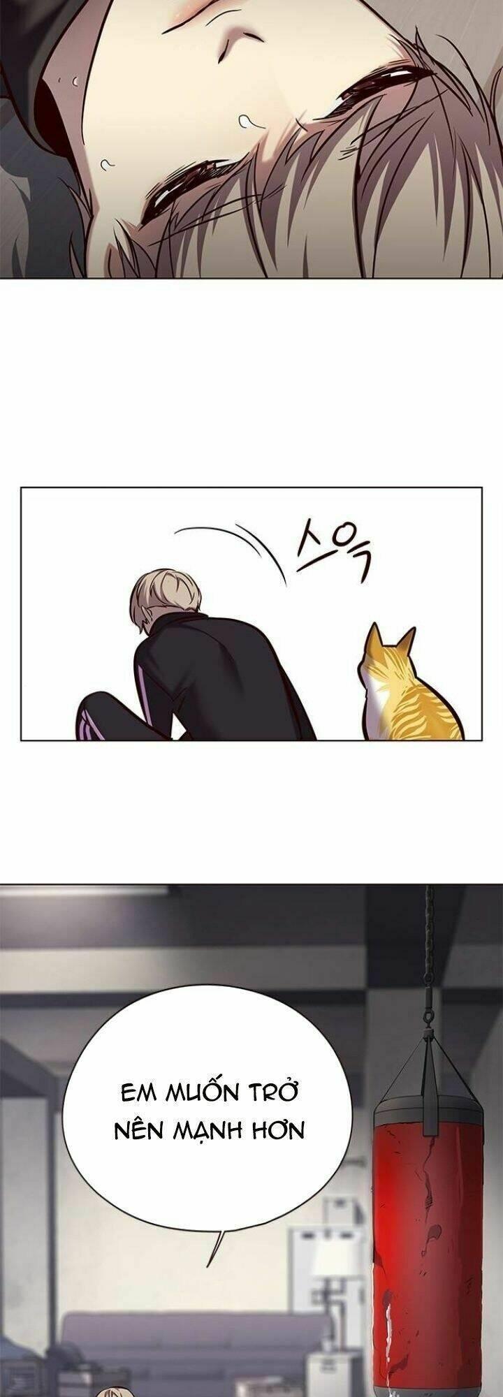 biến thân thành mèo chapter 116 6