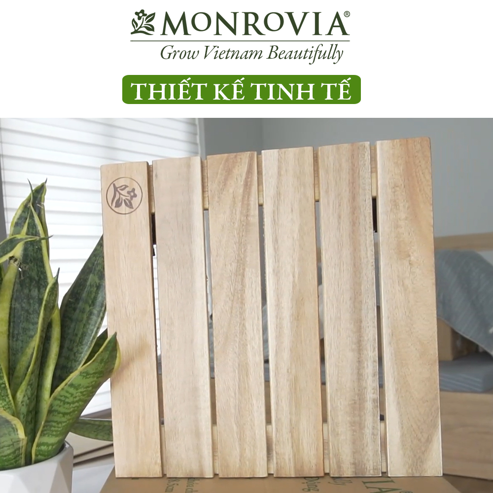 Đế lót chậu cây có bánh xe MONROVIA, đế để chậu cây, kệ chậu cây do động, có bánh xe, mặt tròn hoặc vuông bằng gỗ tràm cao cấp loại 1, trên 10 năm tuổi, màu vàng đường kinh 30 cm, tải trọng 80kg, chính hãng thương hiệu MONROVIA - Đế vuông