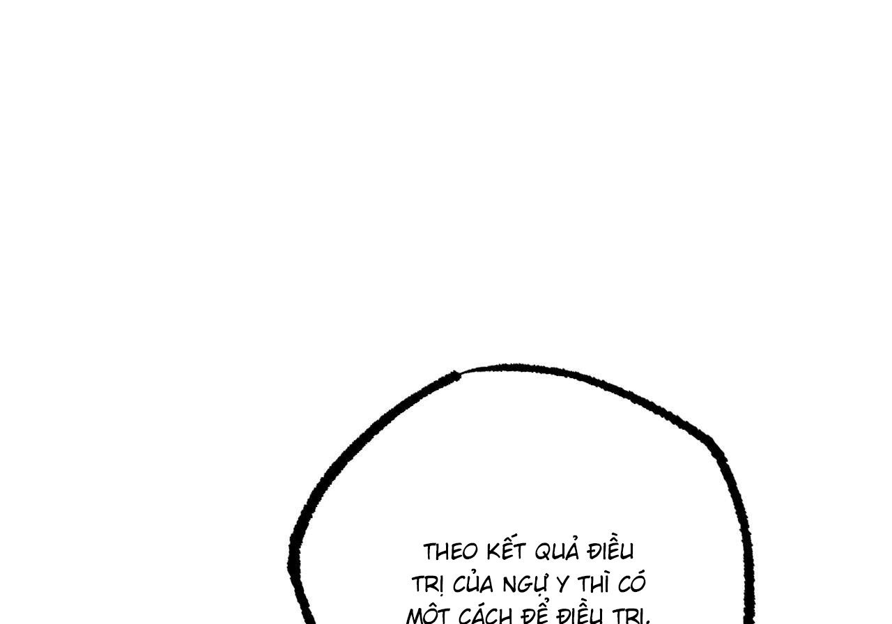 những chú thỏ của hapypy chapter 60 80