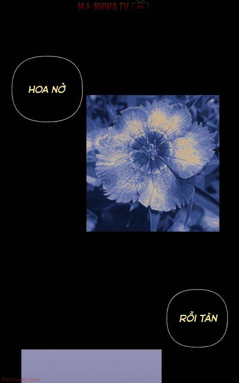 Trọng Sinh Mạc Thế Chapter 50 42