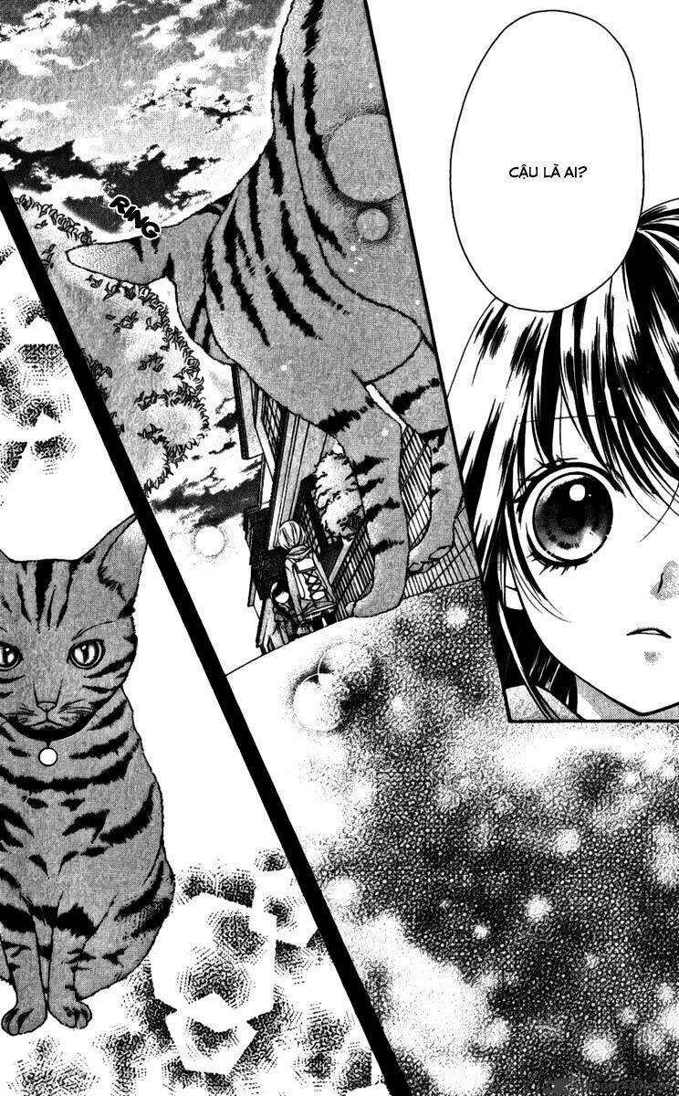 yamamoto zenjirou to moushimasu chapter 15 19