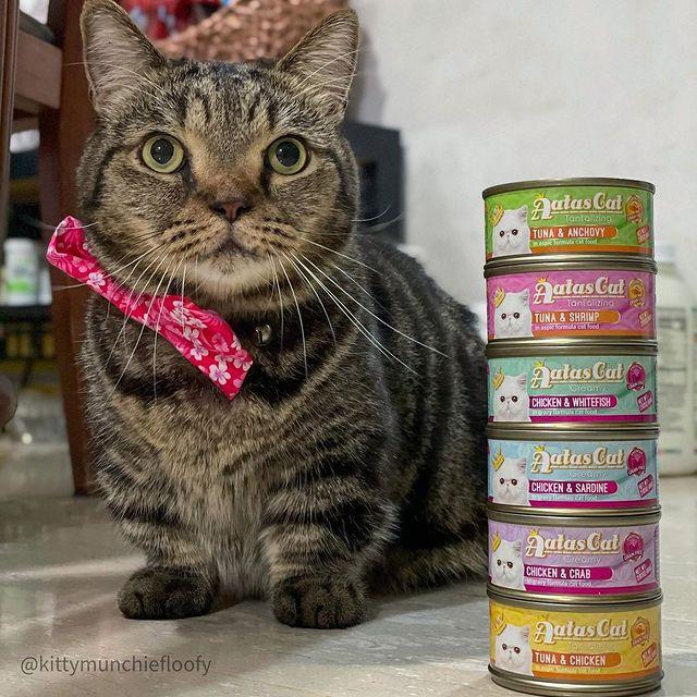 Pate mèo dạng súp gà sợi nhuyễn mix 8 vị - 1 Thúng 24 lon pate thức ăn ướt cho mèo Aatas Cat nhập khẩu Thái Lan