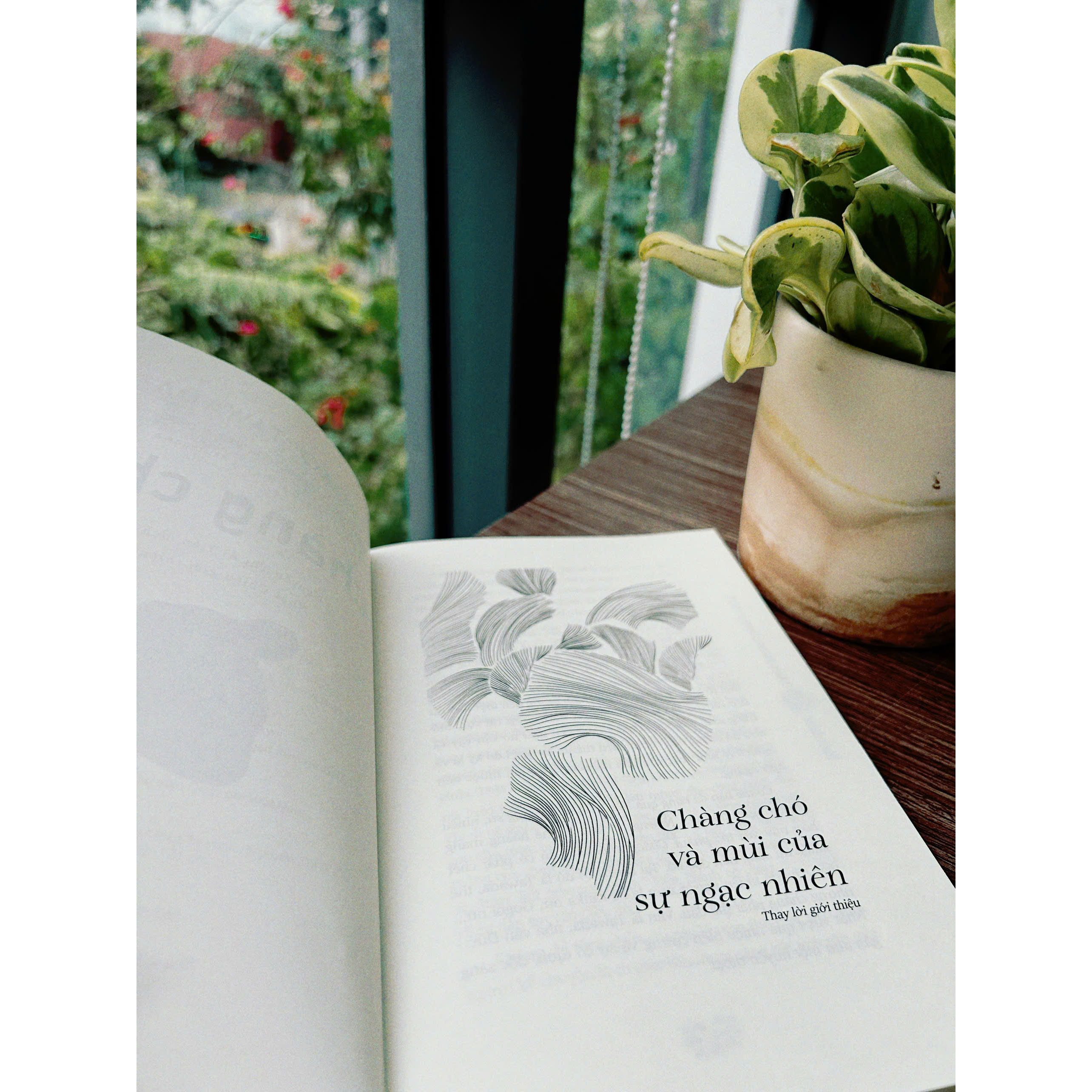 Chàng Chó - The Bridegroom Was A Dog