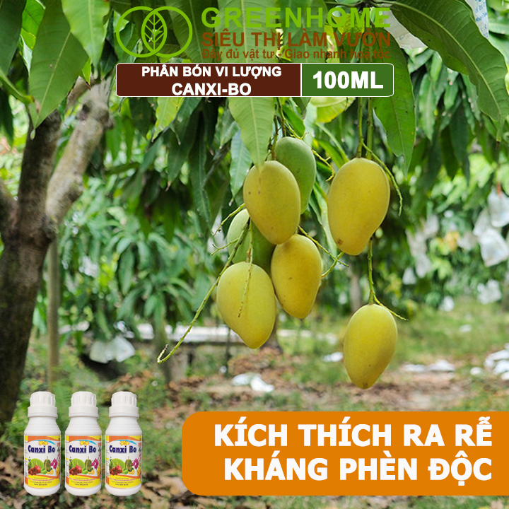 Phân Bón Vi Lượng Canxi Bo Greenhome, Chai 100ml, Kích Rễ, Chống Rụng Trái Non Trên Cây Trồng