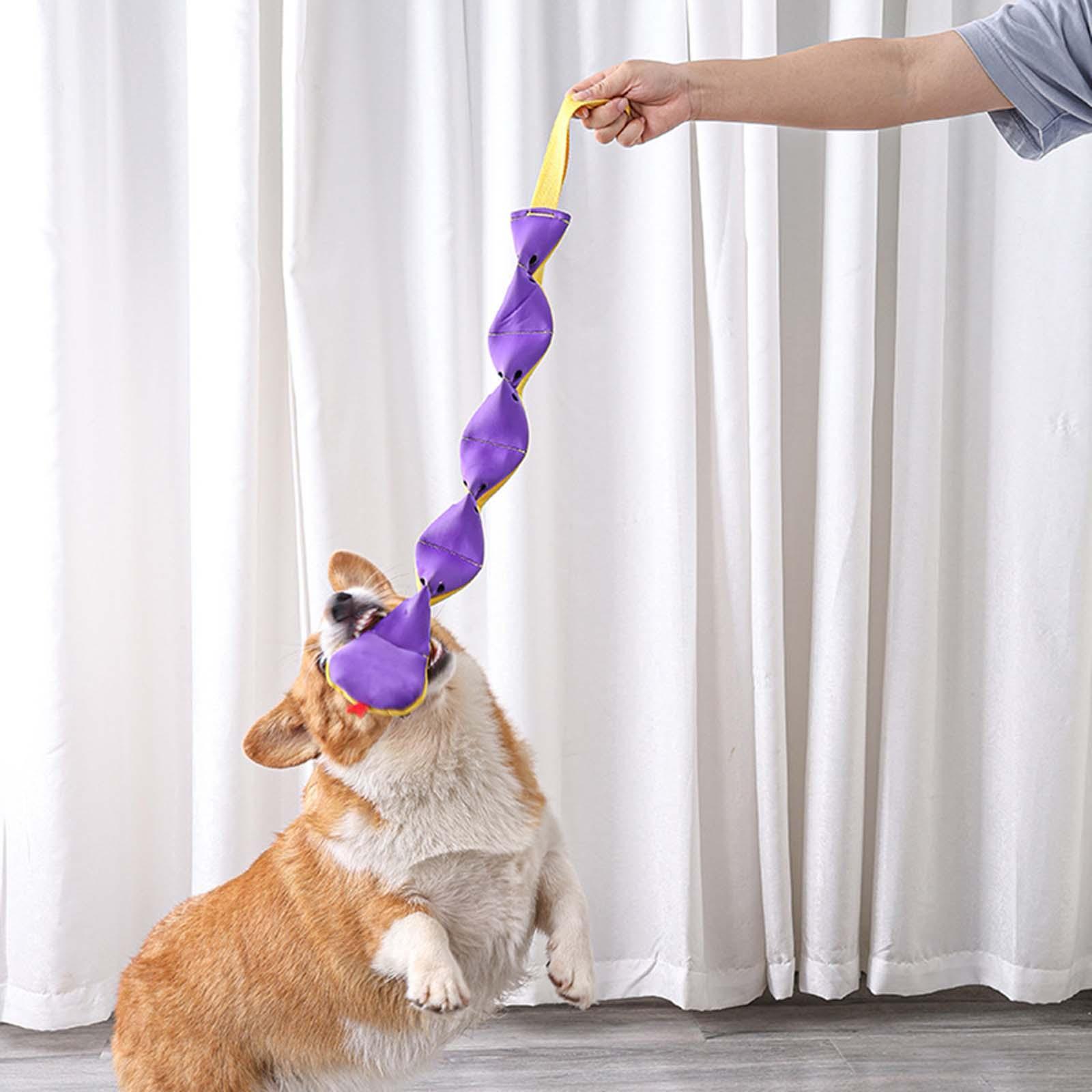 Dog Sniffing Toy Foraging Instinct Training Dog Feeding Toy Game