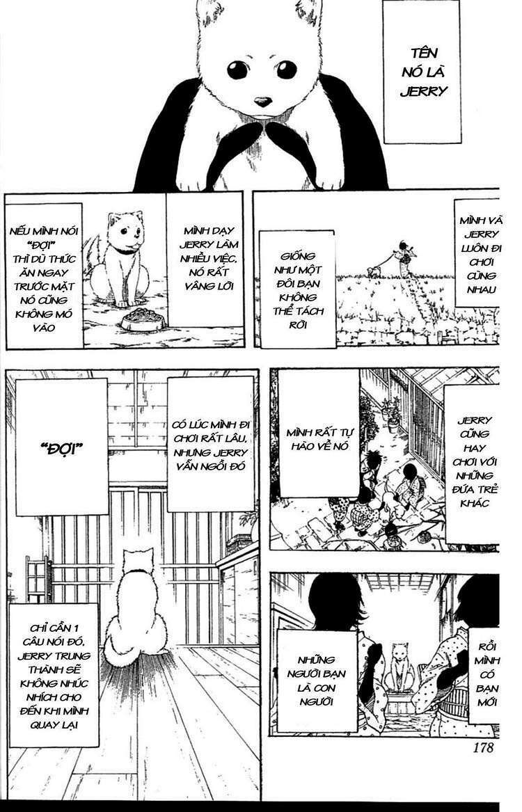 gintama - linh hồn bạc chapter 237 12