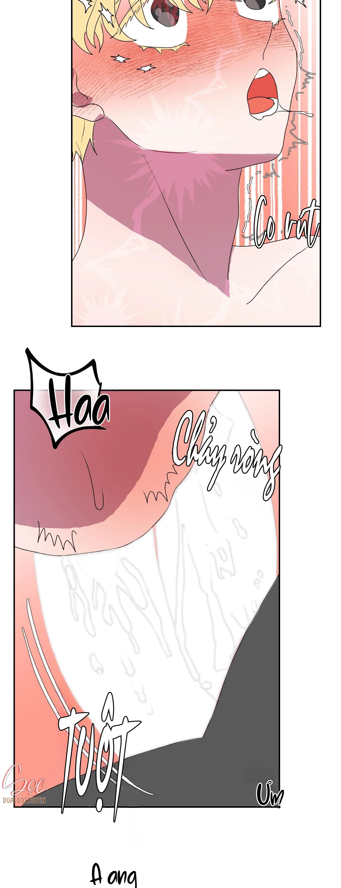 cá mập và cô dâu thỏ chapter 12 40