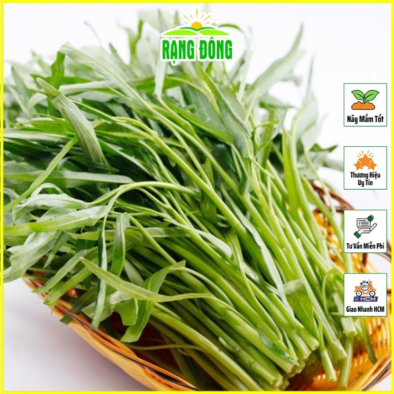 Hạt Giống Rau Muống Lá Tre Dễ Trồng, Sinh Trưởng Tốt, Năng Suất Cao (gói 50 gr) - Hạt giống Rạng Đông