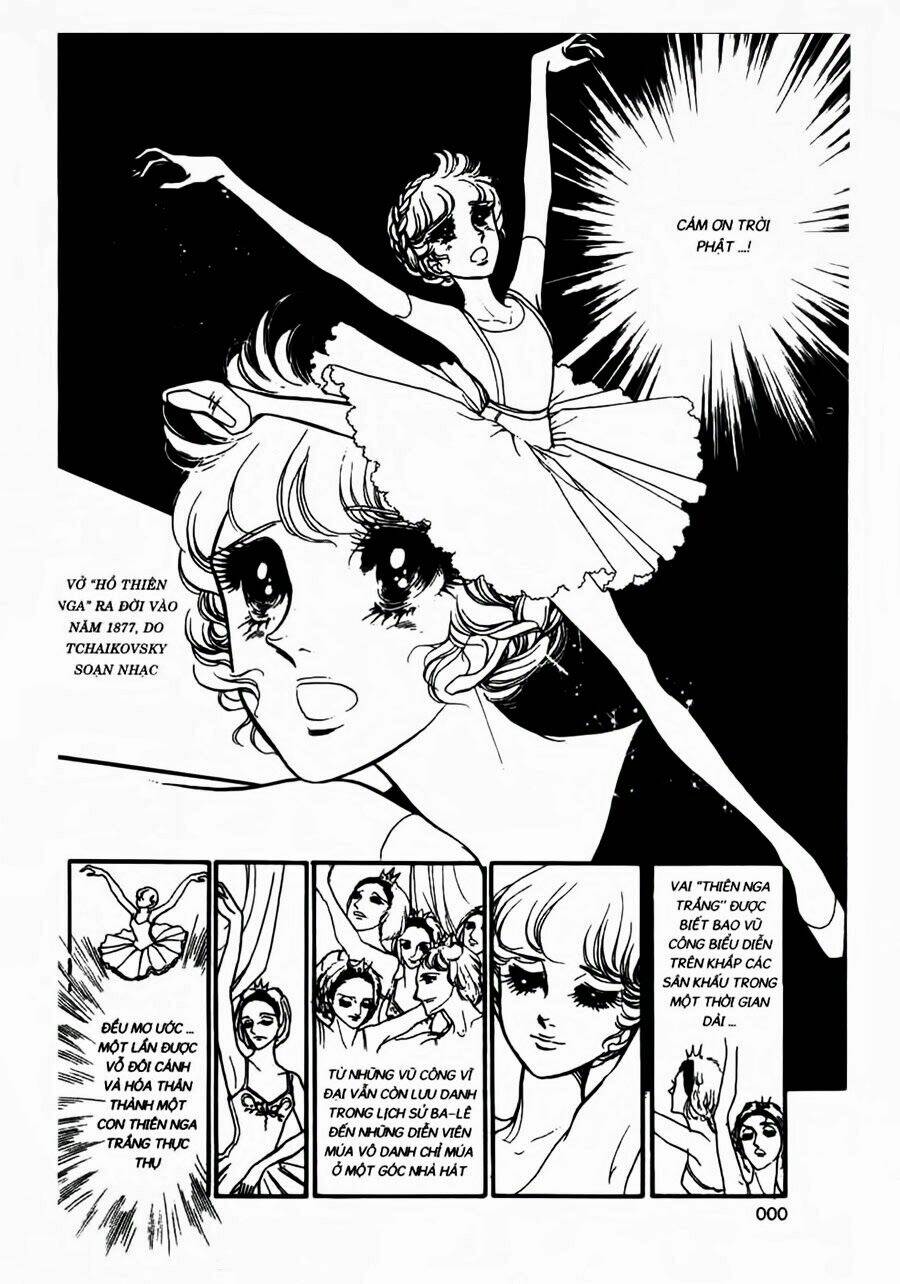 swan - vũ khúc thiên nga chapter 36 6