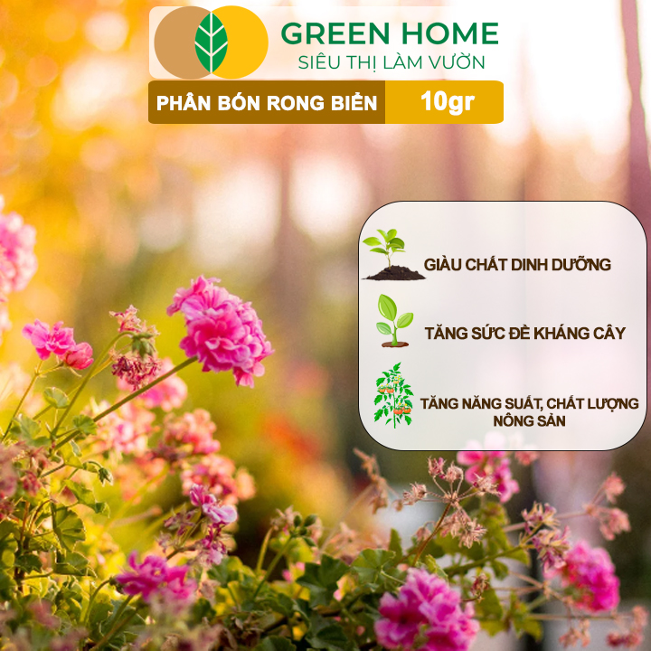 Phân Bón Lá Rong Biển GreenHome, Seaweed, Gói 10gr, Hữu Cơ, Ra Hoa, Đậu Trái, Chắc Hạt, Tăng Khả Năng Ra Đọt, Tốt Rễ