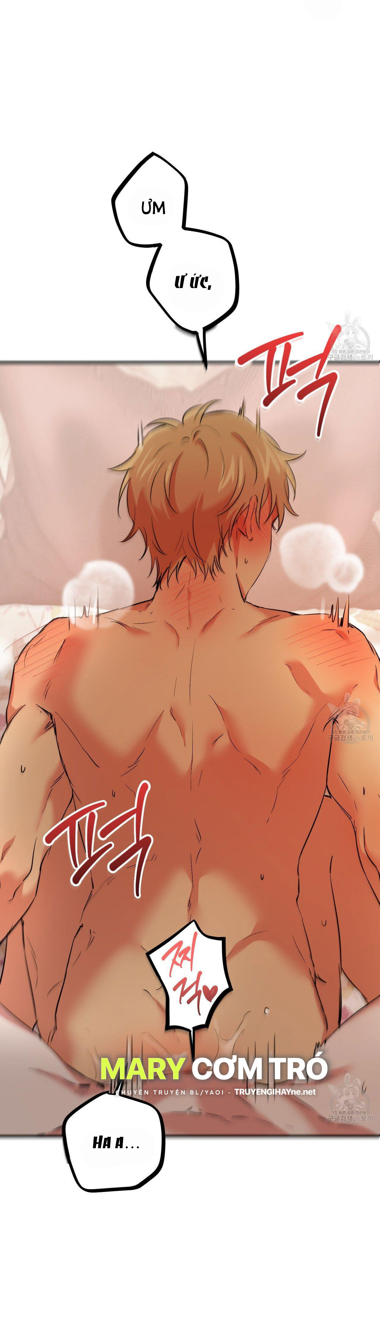 những chú thỏ của hapypy chapter 63.2 19