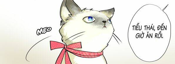 nhật ký đầu gấu chapter 2.1 43