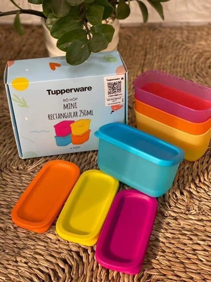 Bộ hộp Tupperware Mini Rectangular 250ml (4 Hộp)