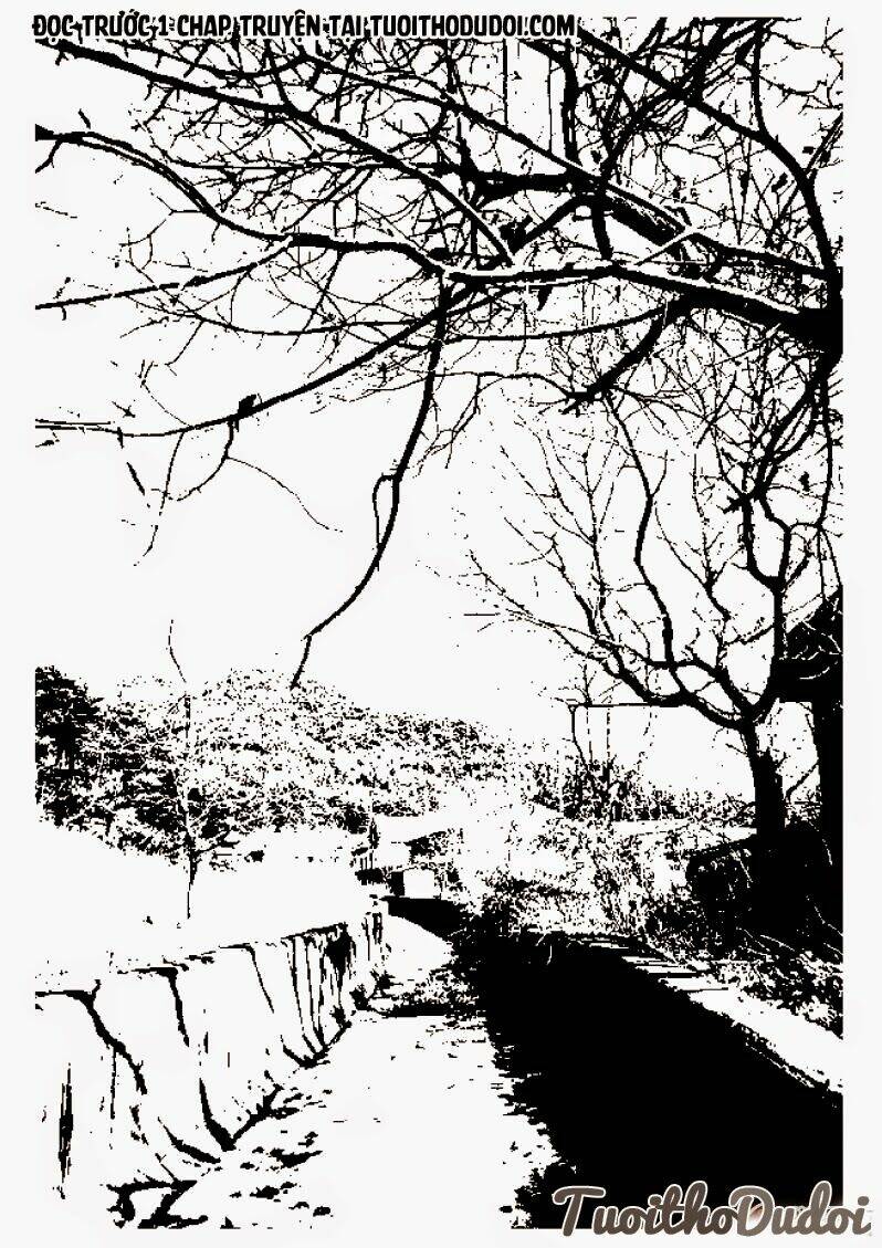 sự mê hoặc của sói chapter 9 12