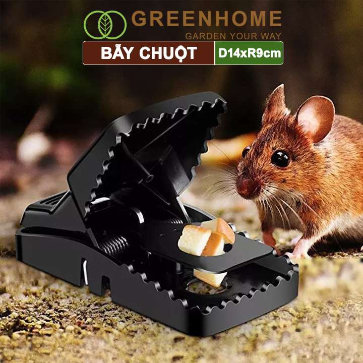 Bẫy Chuột Thông Minh Greenhome, D14xr9cm, Lò Xo Độ Nhạy Cao, Lực Gấp Mạnh, Dễ Dùng, Hiệu Quả Cao, Tái Sử Dụng Nhiều Lần