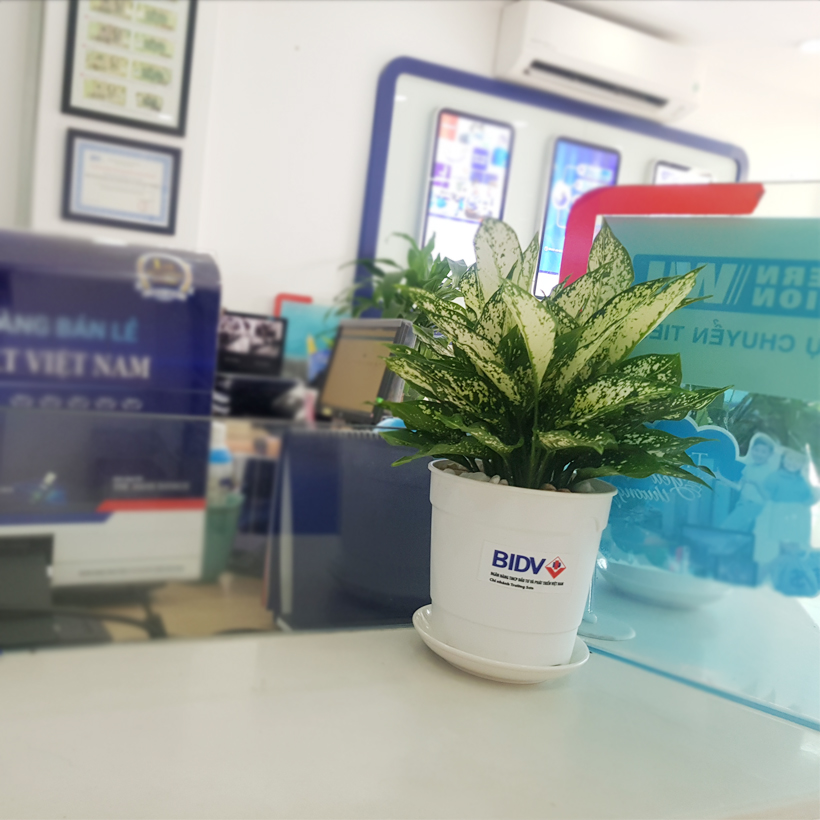 Chậu trồng cây trong nhà cao cấp Minigarden Basic Pot S nhập khẩu Châu Âu, Nhựa PP Chống UV, có khả năng tự hút nước và thoát nước giúp cây sống tốt mà không cần chăm sót