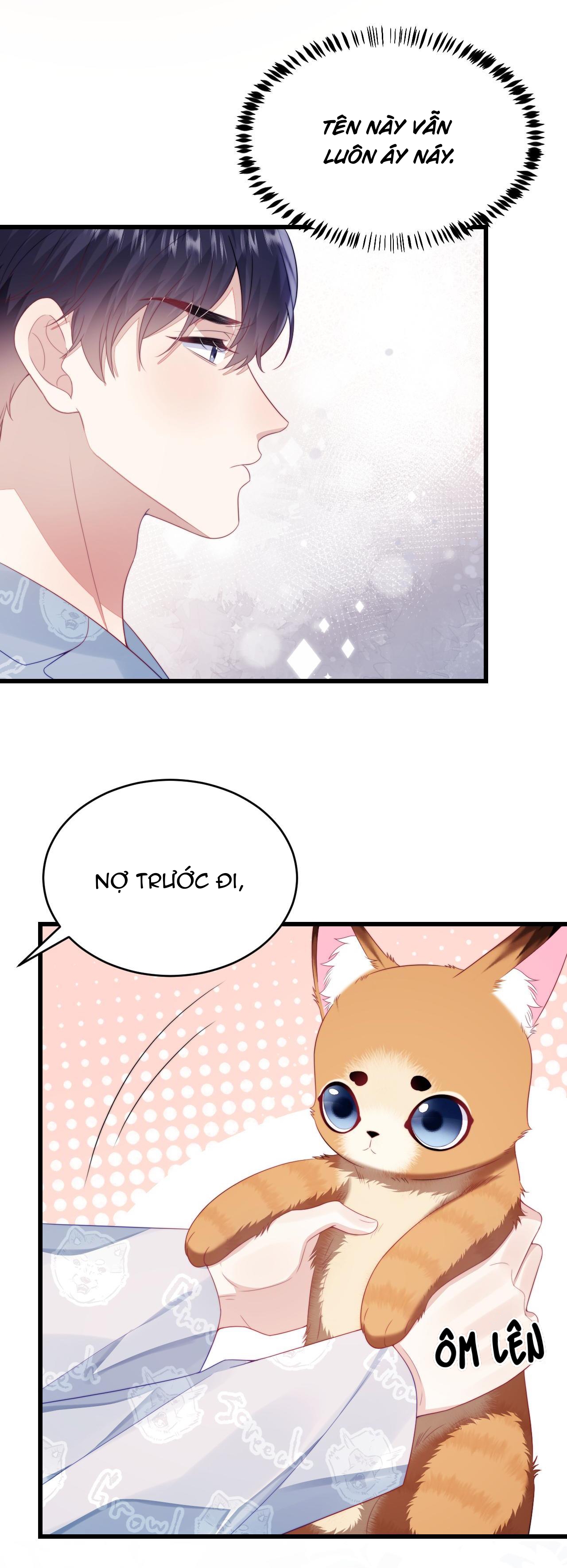 mèo hoang nhỏ của học bá quá chọc người rồi chapter 35 20