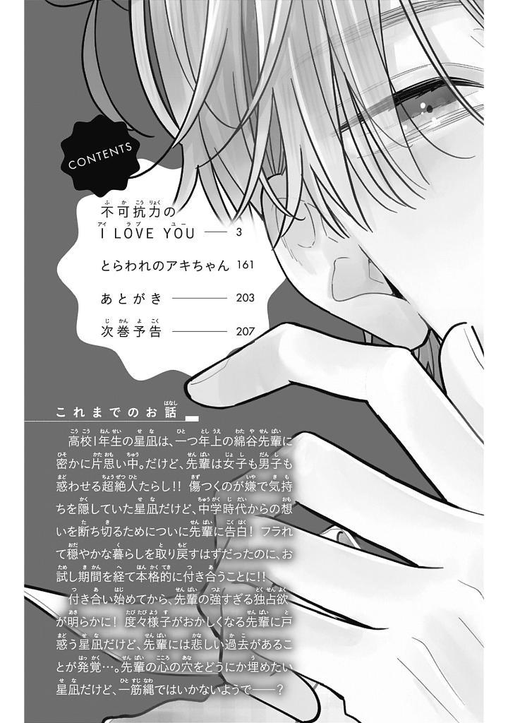 Sách ngoại văn: Fukakouryoku No I Love You 2 (Japanese Edition)