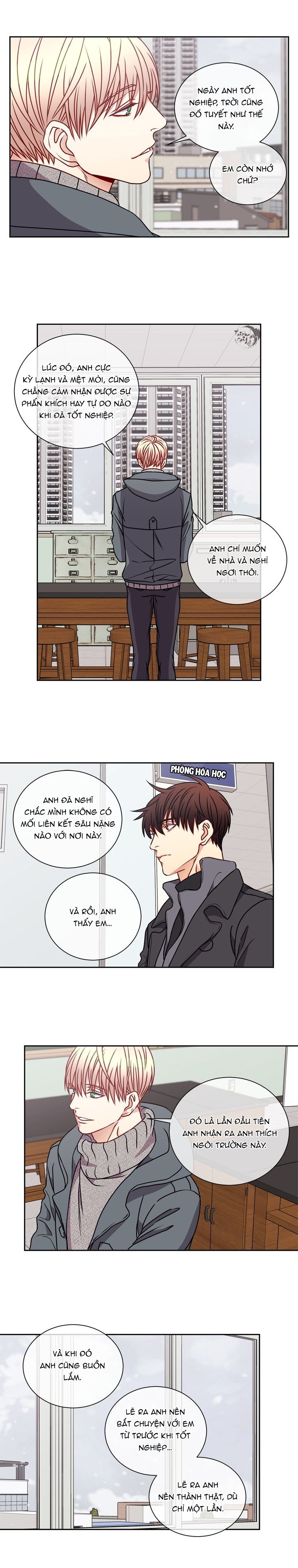 tựa như tình đầu chapter 50 11