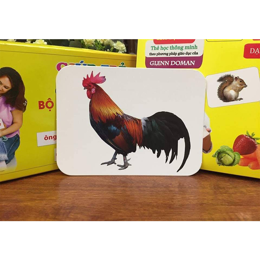 Bộ Thẻ Học Thông Minh 15 Chủ Đề loại to song ngữ tiếng Anh loại chuẩn Glenn Doman Flashcard cho bé từ 0-6 tuổi