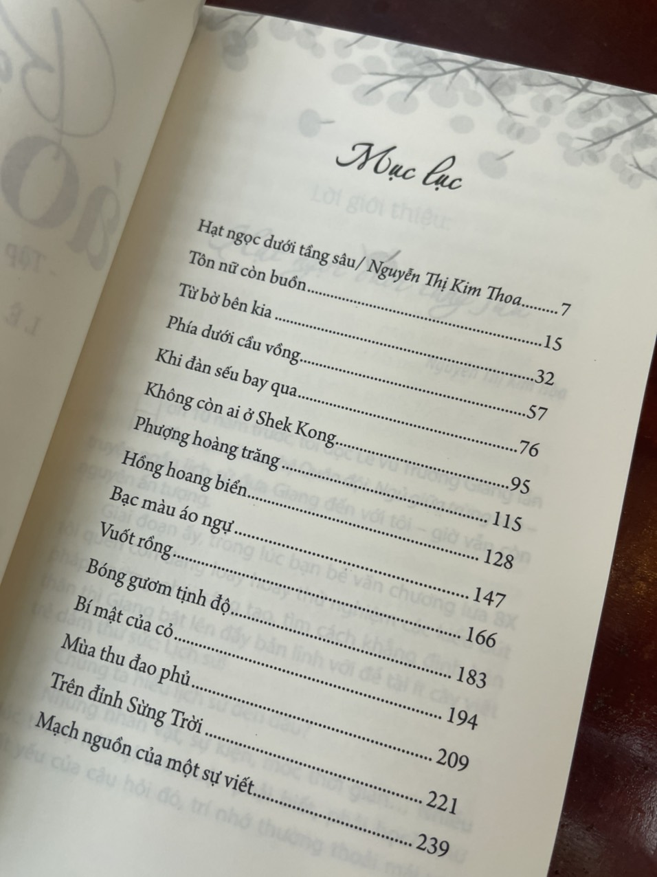 BẠC MÀU ÁO NGỰ - Lê Vũ Trường Giang - Nxb Tổng hợp HCM – bìa mềm