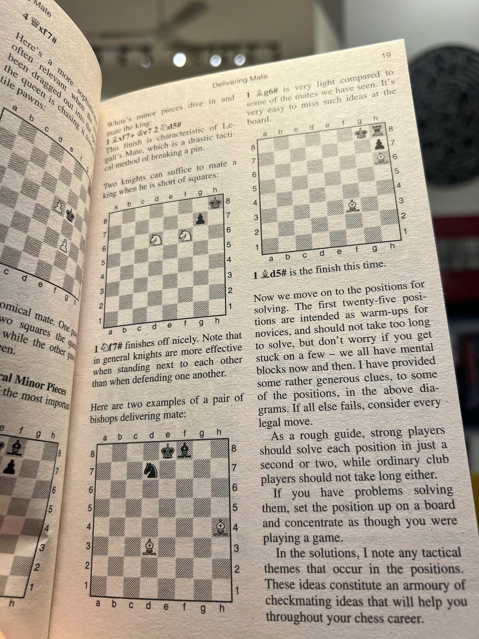 Sách - The Mammoth Book of Chess by Graham Burgess | Nonfiction / Games / Ngoại văn / Cờ vua