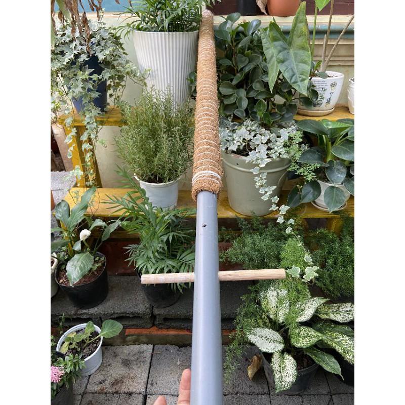 Trụ sơ dừa 130cm. đã khử muối, sợi coton