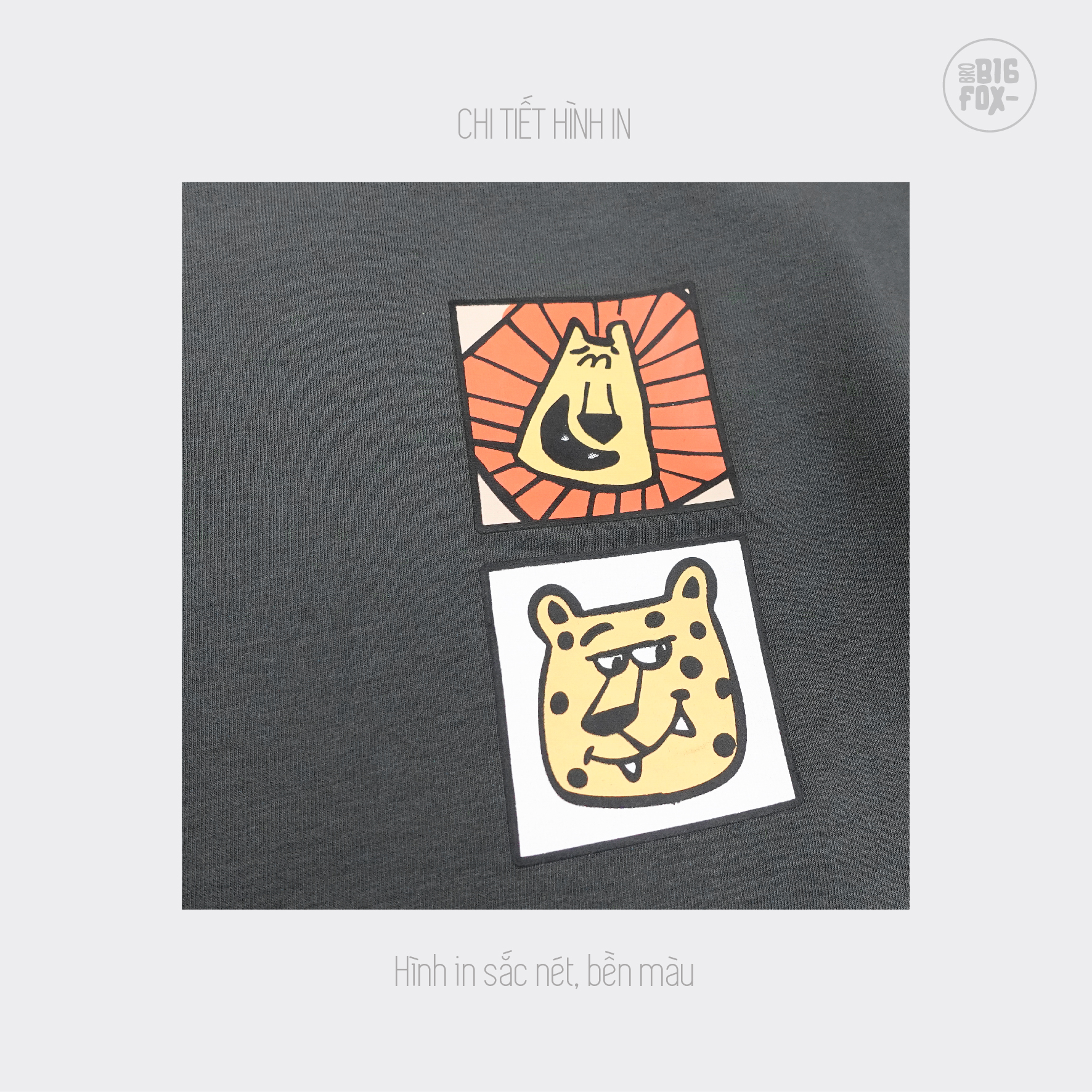Bộ nỉ thu đông cho bé trai Bigfox Miss Meow size đại dài tay phối màu phom Hàn cỡ trẻ em 3-11 tuổi