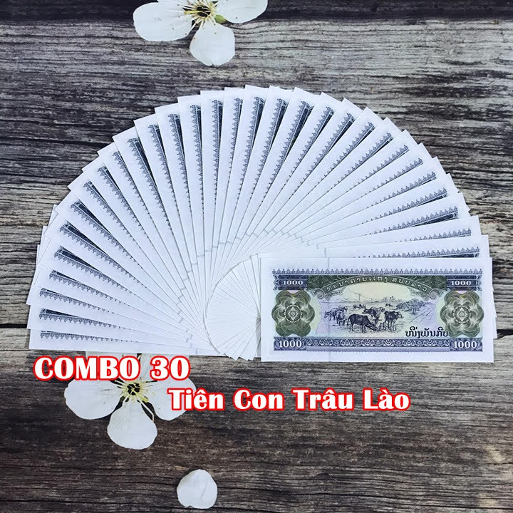 Combo 30 tờ lưu niệm hình con Trâu của Lào, dùng để sưu tầm, lưu niệm, làm tiền lì xì độc lạ, may mắn, ý nghĩa - TMT Collection - SP005103