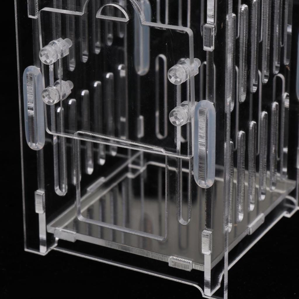 Durable Acrylic Small Insect Cage Grasshopper Feeding Cricket Cage Indoor Toy