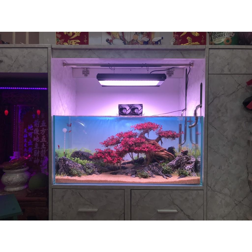 Tranh Decal Dán Bể Cá, Bể Thủy Sinh - Bầu Trời