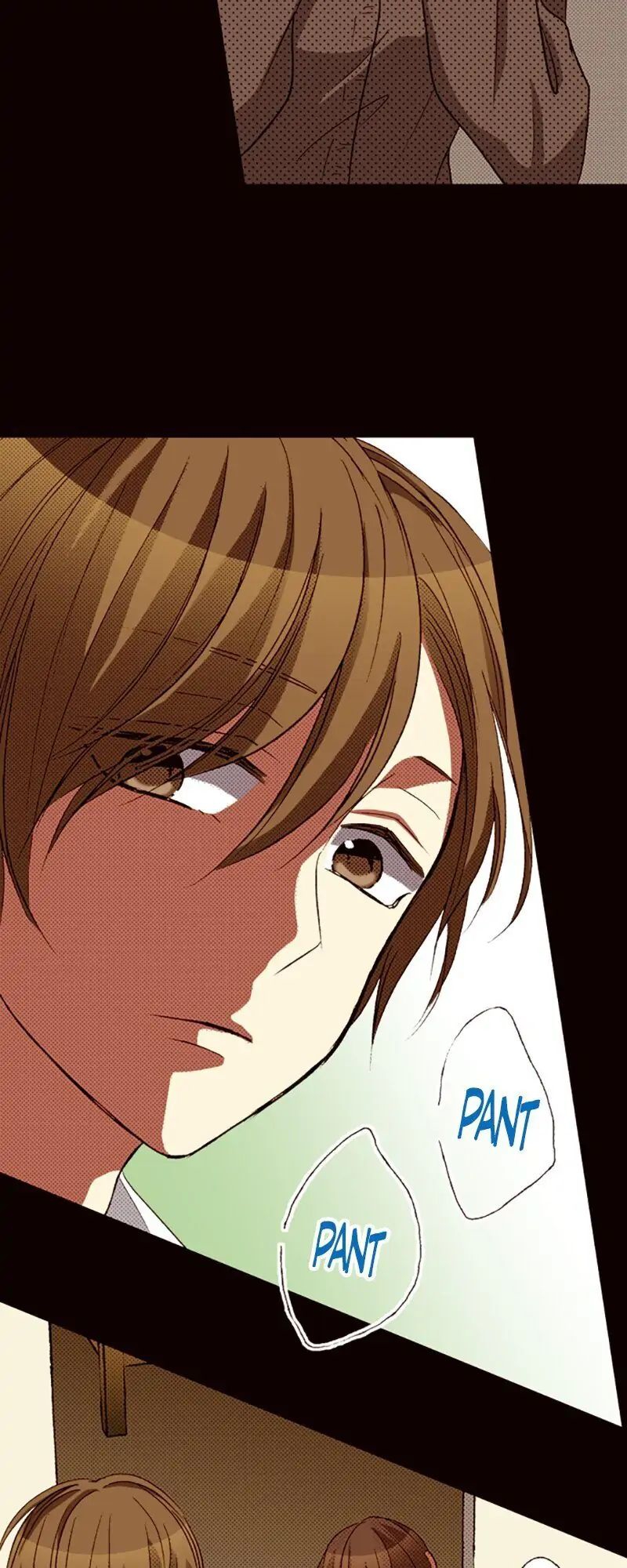 Tôi Ghét Nụ Cười Ấy chapter 66.2 - Trang 5