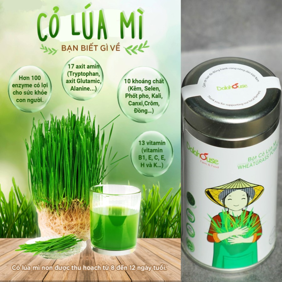 Lon Bột cỏ lúa mì nguyên chất Dalahouse 150g - Detox hoàn toàn tự nhiên