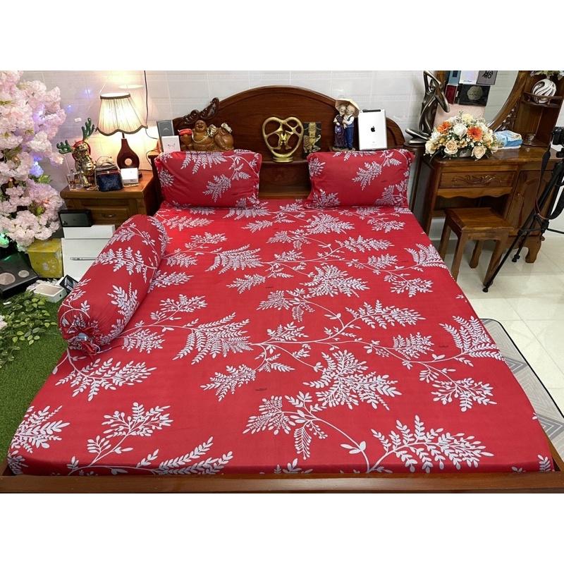 Drap thun hàn quốc