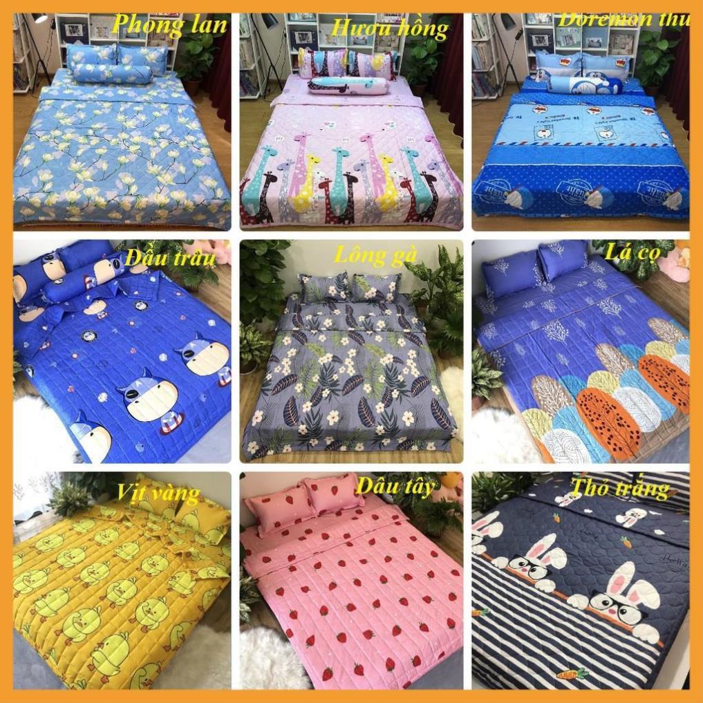 Lẻ = sỉ bộ ga chun cotton poly m6 hoặc m8