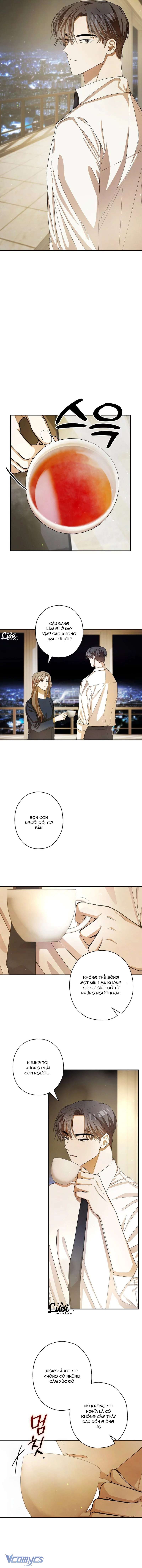 chuỗi thức ăn chapter 17 2