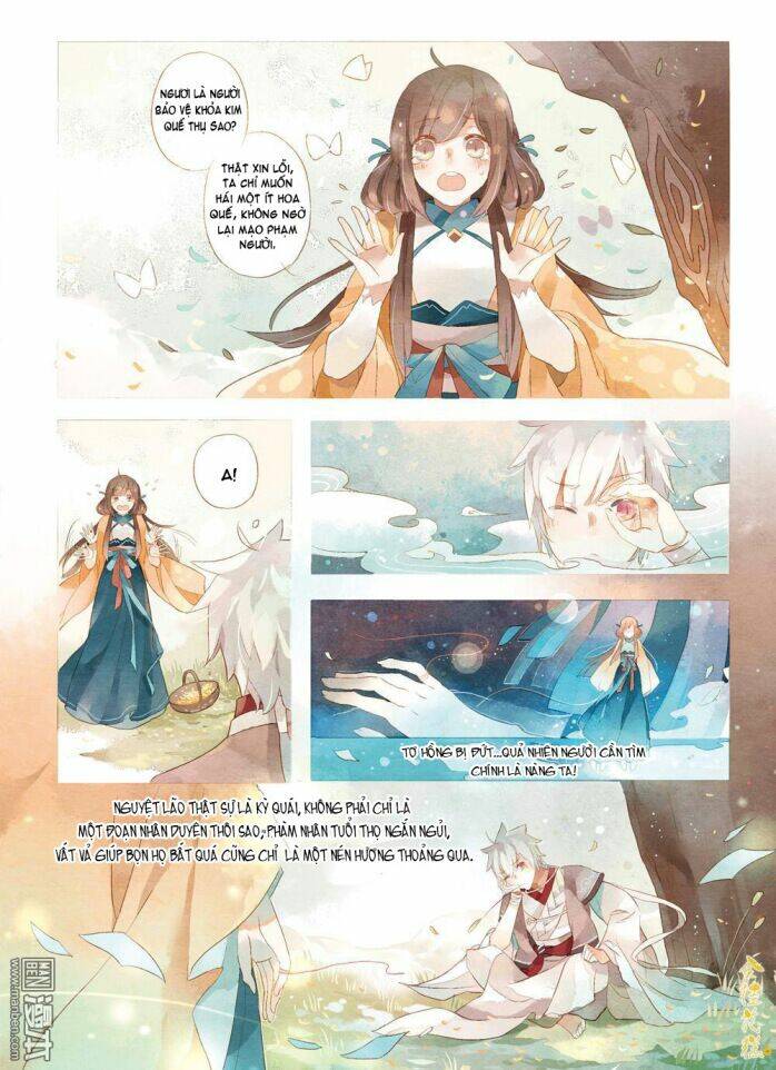 kim quế hoa cao chapter 1 4