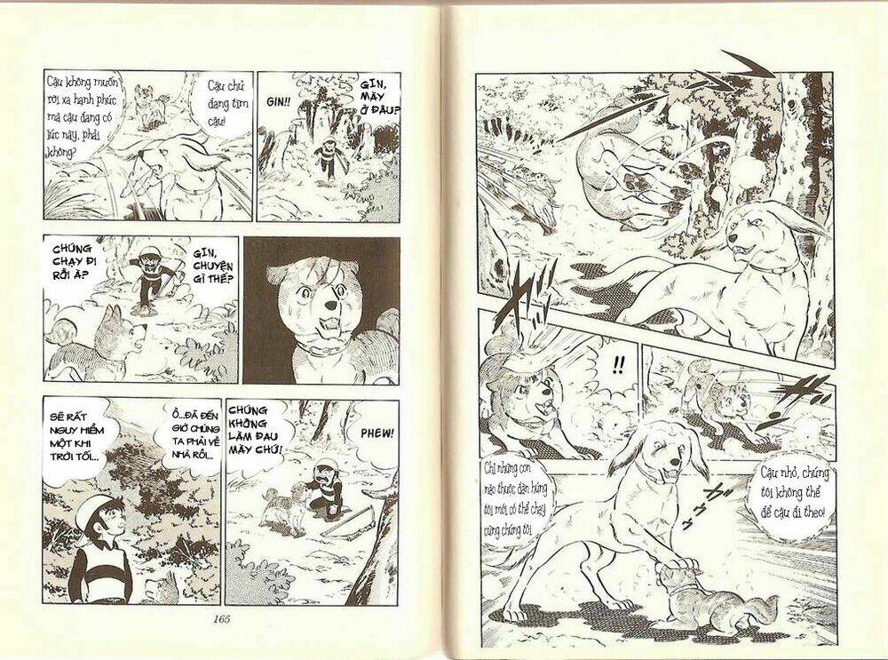 chú chó có nghĩa - ginga nagareboshi gin chapter 10 4
