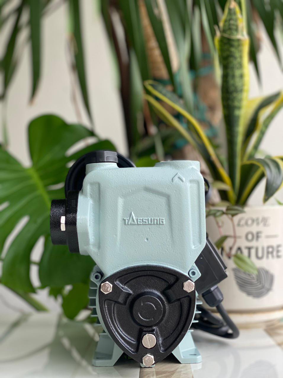 Máy bơm tăng áp tự động taesung 150w hoạt động êm, tăng áp cho nhà 1-2 tầng