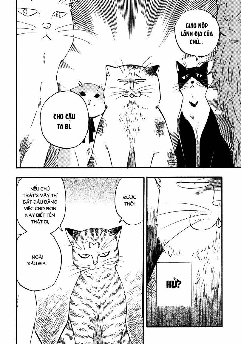 tui là busamen! chapter 6 5