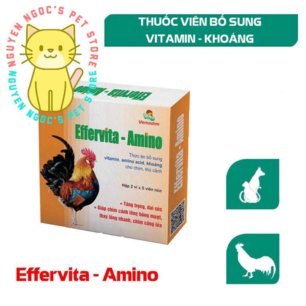 Effervita Amino Vemedim - 1 Hộp 10 viên thức ăn cung cấp Khoáng và Vitamin Chó Mèo Gà Đá