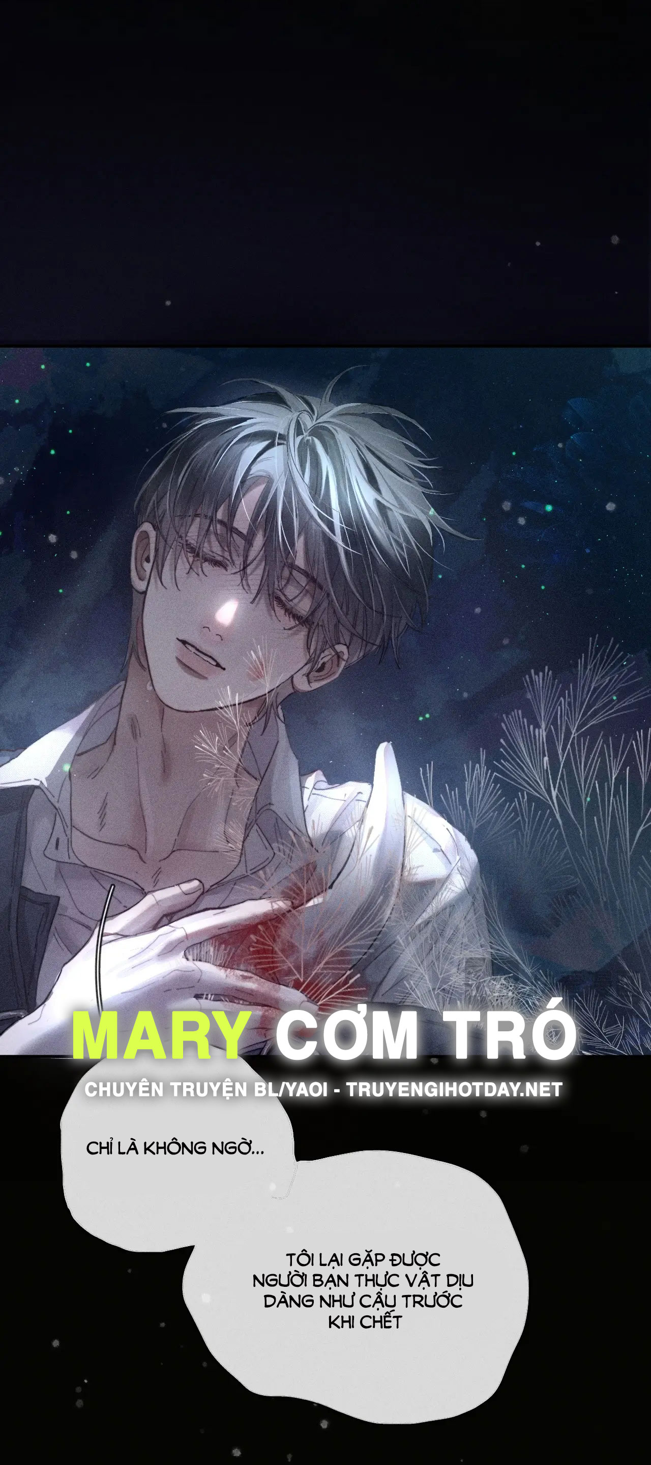 cây nấm nhỏ chapter 1 22