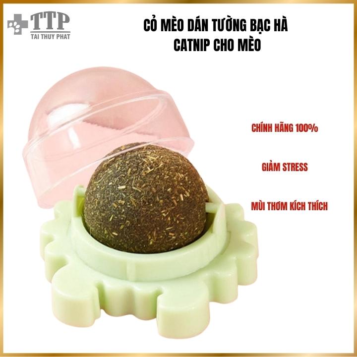 Cỏ mèo dán tường bạc hà Catnip đồ chơi cho mèo giúp mèo xả stress  - Pet Tài Thủy Phát - T084