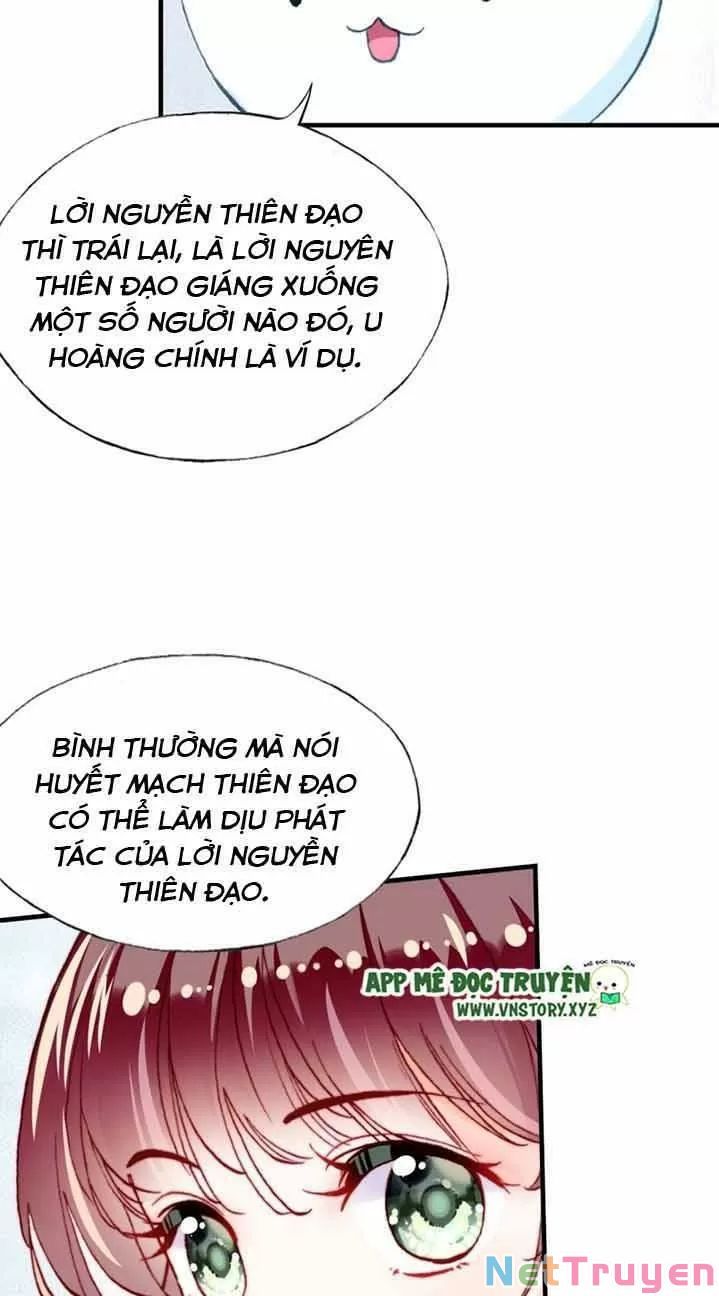 lại bị bệnh chiều chuộng quấn lấy chapter 13 24