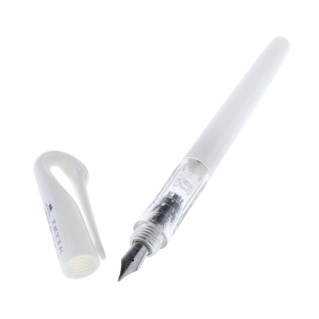 Luxury Ballpoint Pen Writing Set Elegant Fancy Roller Ball Gifts
