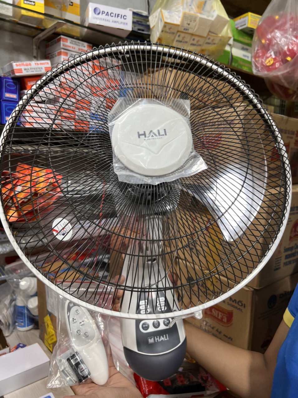 Quạt treo tường Hali (CÓ REMOTE) TR-1 (Hàng chính hãng) - Màu xám