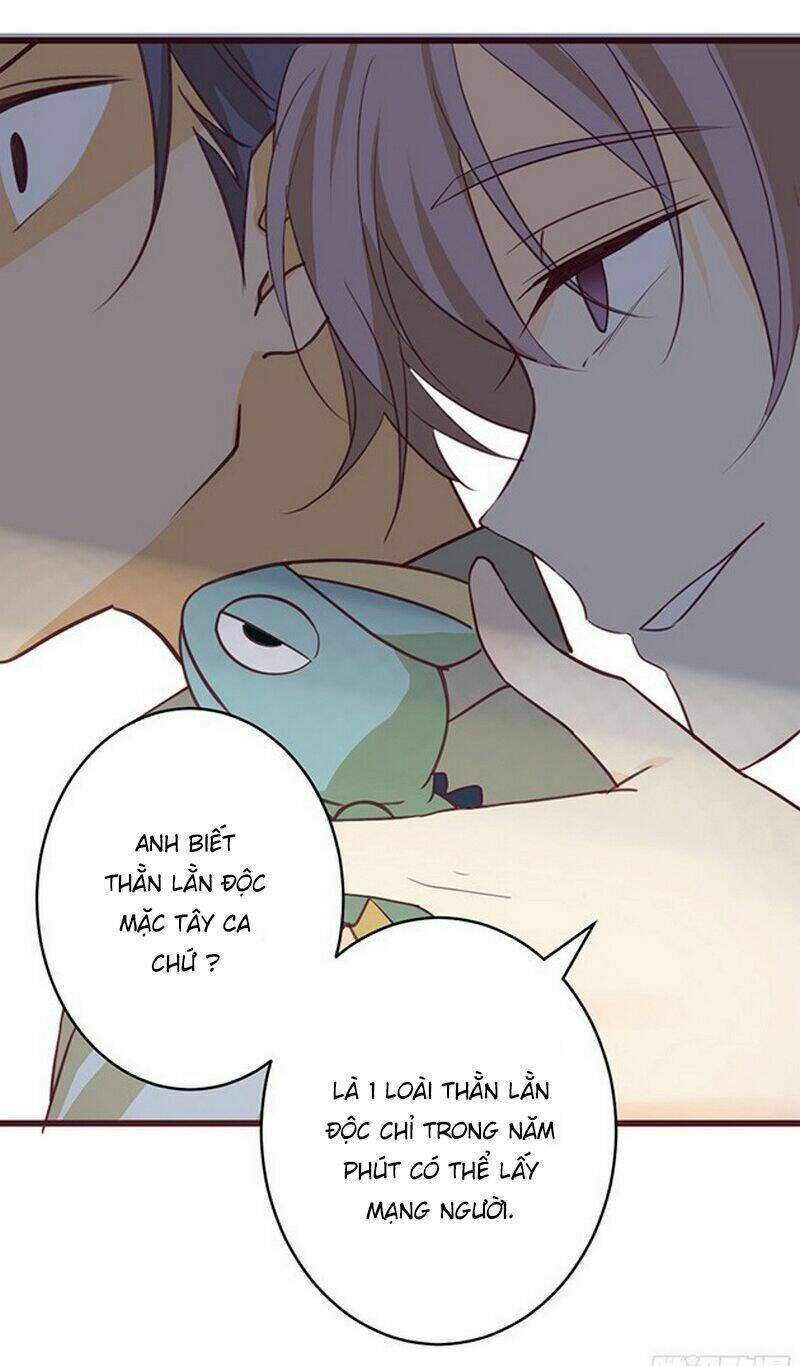 hoa đào nhẹ rơi đẹp như em chapter 4 8