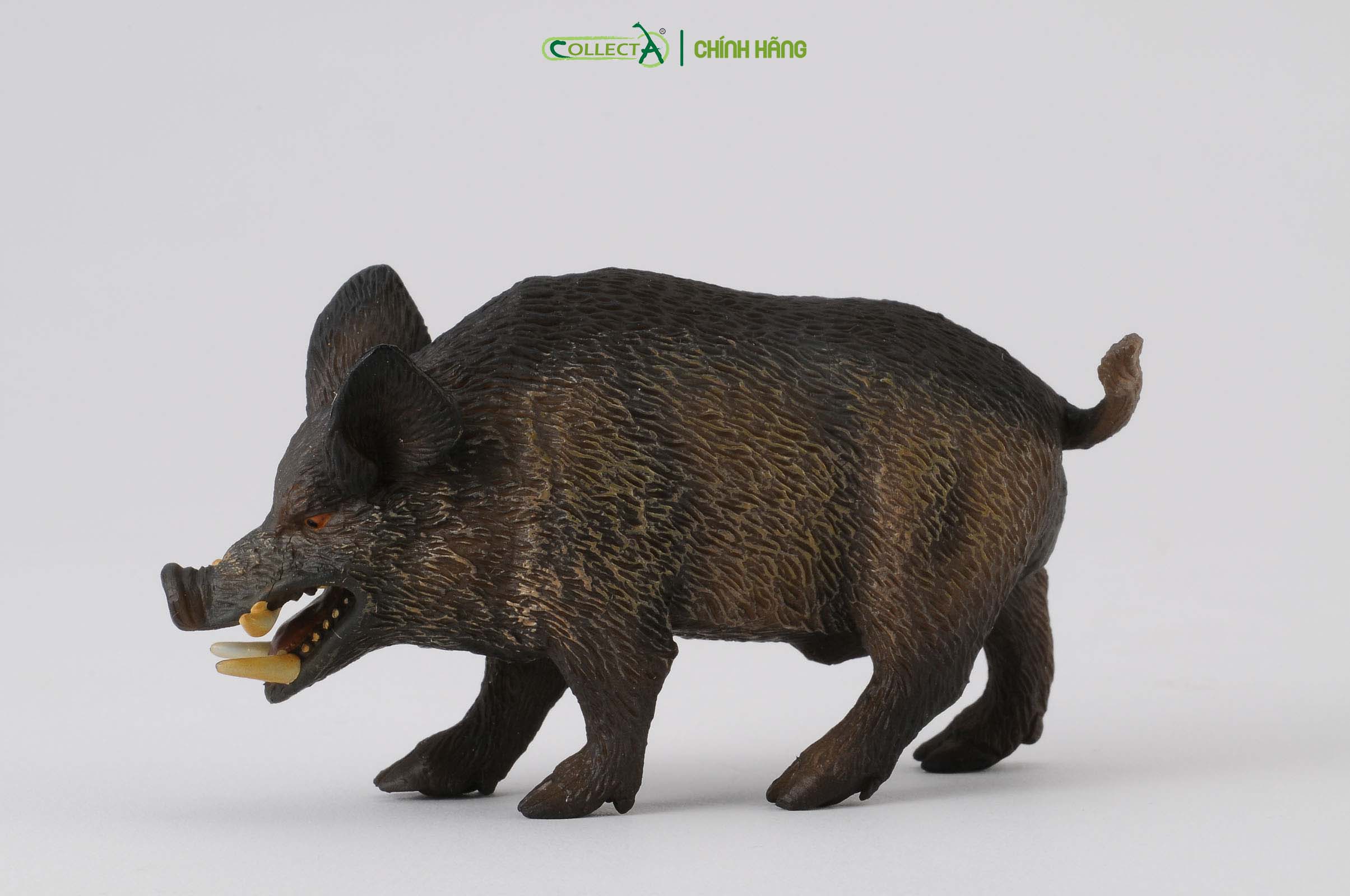 Mô hình thu nhỏ: Lợn Rừng - Wild Boar , hiệu: CollectA, mã HS 9651240[88363] -  Chất liệu an toàn cho trẻ - Hàng chính hãng